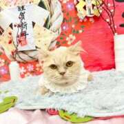 ヒメ日記 2026/01/01 12:09 投稿 あおい ドマーニ