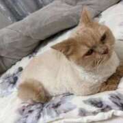 ヒメ日記 2026/01/04 12:52 投稿 あおい ドマーニ