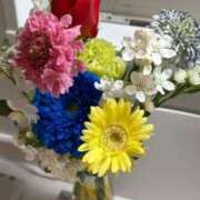 ヒメ日記 2026/01/31 20:11 投稿 あおい ドマーニ