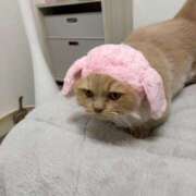 ヒメ日記 2026/02/26 16:15 投稿 あおい ドマーニ