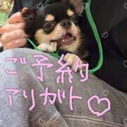 ヒメ日記 2025/06/13 17:22 投稿 せらむ 池袋サンキュー