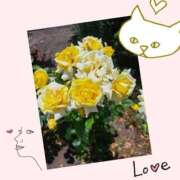 ヒメ日記 2025/07/15 15:59 投稿 れい 完熟ばなな札幌・すすきの