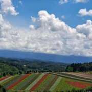 ヒメ日記 2025/08/04 09:49 投稿 れい 完熟ばなな札幌・すすきの