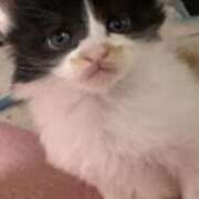 ヒメ日記 2025/09/12 17:49 投稿 れい 完熟ばなな札幌・すすきの