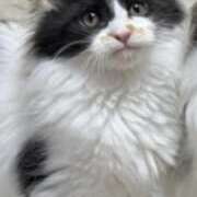 ヒメ日記 2025/12/17 16:59 投稿 れい 完熟ばなな札幌・すすきの