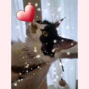 ヒメ日記 2026/03/06 15:59 投稿 れい 完熟ばなな札幌・すすきの