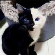 れい 小さい頃から 完熟ばなな札幌・すすきの