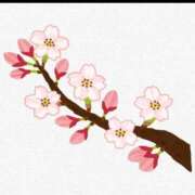 ヒメ日記 2026/04/14 09:03 投稿 れい 完熟ばなな札幌・すすきの