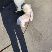 ヒメ日記 2025/07/10 08:39 投稿 まなつ 完熟ばなな札幌・すすきの