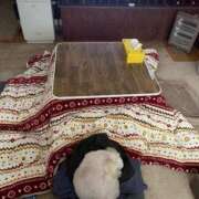 ヒメ日記 2025/10/13 08:39 投稿 まなつ 完熟ばなな札幌・すすきの