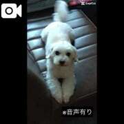 ヒメ日記 2025/10/16 15:58 投稿 まなつ 完熟ばなな札幌・すすきの