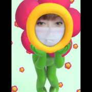 ヒメ日記 2025/11/11 10:19 投稿 まなつ 完熟ばなな札幌・すすきの