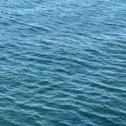 ヒメ日記 2025/08/14 16:46 投稿 くるみ☆6/14 体験ちゃん JKサークル