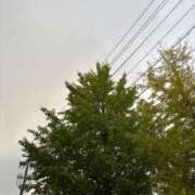 ヒメ日記 2025/10/17 20:01 投稿 くるみ☆6/14 体験ちゃん JKサークル