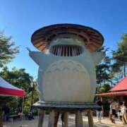 ヒメ日記 2025/12/11 23:35 投稿 くるみ☆6/14 体験ちゃん JKサークル