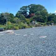 ヒメ日記 2025/08/02 08:49 投稿 加々美有紗 プレジデントクラブ