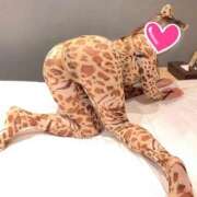 ヒメ日記 2026/02/20 08:32 投稿 れいら（新人割引6/20まで） ウルトラグレイス24