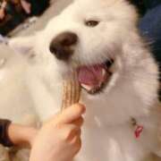 ヒメ日記 2025/06/22 22:03 投稿 るりの ふわもこ人妻ランド　那須塩原店