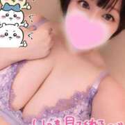 ヒメ日記 2025/09/08 11:21 投稿 るりの ふわもこ人妻ランド　那須塩原店