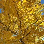 ヒメ日記 2025/11/05 21:06 投稿 るりの ふわもこ人妻ランド　那須塩原店