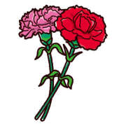 ヒメ日記 2026/05/10 14:03 投稿 るりの ふわもこ人妻ランド　那須塩原店