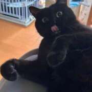 ヒメ日記 2025/06/25 12:32 投稿 吉野なつみ やみつきエステ錦糸町店