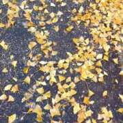 ヒメ日記 2025/11/24 14:00 投稿 吉野なつみ やみつきエステ錦糸町店