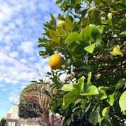 ヒメ日記 2025/12/10 10:20 投稿 吉野なつみ やみつきエステ錦糸町店