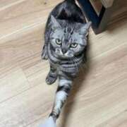 ヒメ日記 2025/12/16 15:50 投稿 吉野なつみ やみつきエステ錦糸町店