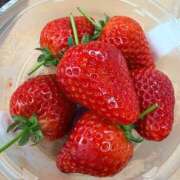 ヒメ日記 2026/01/27 18:20 投稿 吉野なつみ やみつきエステ錦糸町店