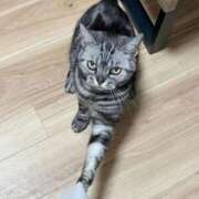 ヒメ日記 2026/02/22 15:20 投稿 吉野なつみ やみつきエステ錦糸町店