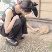 ヒメ日記 2025/08/08 18:57 投稿 コトエ♡完全業界未経験♡ ドMなバニーちゃん 名古屋・池下店