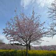 ヒメ日記 2025/07/24 23:45 投稿 ま　な【巨乳女子】 Select(セレクト)