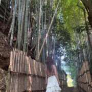 ヒメ日記 2025/09/21 11:46 投稿 ま　な【巨乳女子】 Select(セレクト)