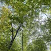 ヒメ日記 2025/07/10 18:23 投稿 二階堂(にかいどう) 大牟田デリヘル倶楽部