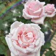 ヒメ日記 2025/06/11 18:14 投稿 岩村風花 五十路マダム 愛されたい熟女たち 高松店