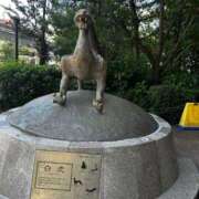 ヒメ日記 2025/08/19 12:03 投稿 ゆうり 東京エステコレクション 新橋・銀座