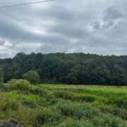 ヒメ日記 2025/08/25 21:01 投稿 ゆうり 東京エステコレクション 新橋・銀座