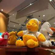 ヒメ日記 2025/10/03 08:00 投稿 ゆうり 東京エステコレクション 新橋・銀座