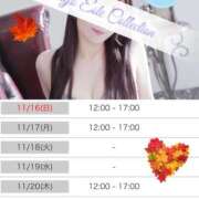 ヒメ日記 2025/11/16 08:00 投稿 ゆうり 東京エステコレクション 新橋・銀座