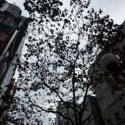 ヒメ日記 2025/11/18 15:01 投稿 ゆうり 東京エステコレクション 新橋・銀座