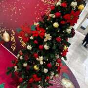 ヒメ日記 2025/12/21 08:01 投稿 ゆうり 東京エステコレクション 新橋・銀座