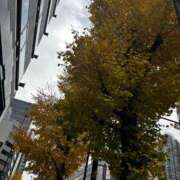 ヒメ日記 2025/12/22 08:01 投稿 ゆうり 東京エステコレクション 新橋・銀座