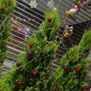 ヒメ日記 2025/12/25 08:01 投稿 ゆうり 東京エステコレクション 新橋・銀座