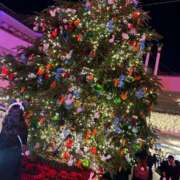 ヒメ日記 2025/12/26 23:00 投稿 ゆうり 東京エステコレクション 新橋・銀座