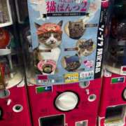 ヒメ日記 2026/01/13 22:14 投稿 ゆうり 東京エステコレクション 新橋・銀座