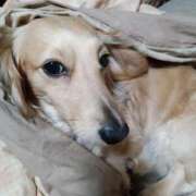 ヒメ日記 2025/06/23 17:50 投稿 ゆきえ 即トク奥さん