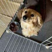 ヒメ日記 2025/07/09 14:00 投稿 ゆきえ 即トク奥さん