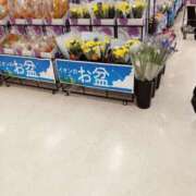 ヒメ日記 2025/08/10 15:20 投稿 ゆきえ 即トク奥さん