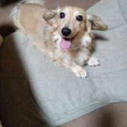 ヒメ日記 2025/09/22 15:20 投稿 ゆきえ 即トク奥さん